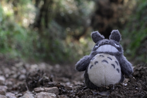 Totoro Forest